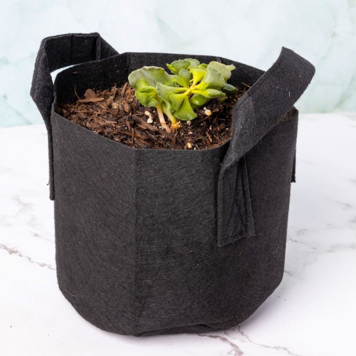 247Garden 2-Gallon Aeration Fabric Pot/Plant Grow Bags w/Handles (Black)